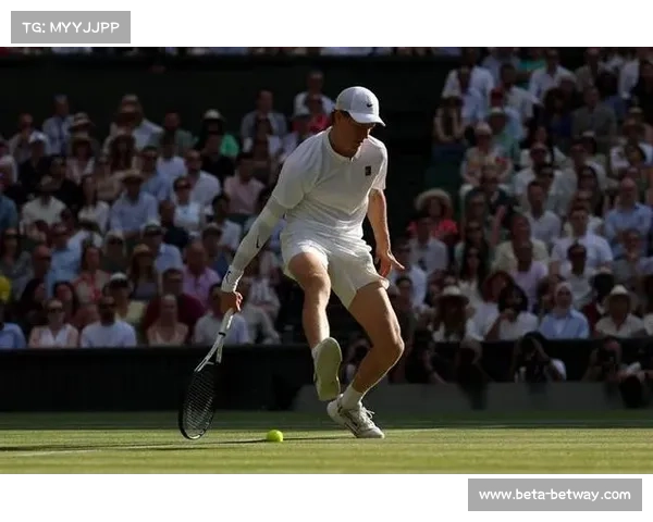 温网历史性时刻 辛纳跪地亲吻草地 意大利47年后迎来新网球王者